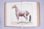 LAFOSSE, Philippe Etienne (1738-1820)Cours d'hippiatrique, ou Traité complet de la...