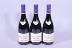 GEVREY-CHAMBERTIN, Vieilles vignes, Frédéric Magnien, 2005, deux bouteilles.JOINT : VOSNE-ROMANÉE,...