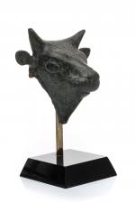 Grèce orientale, VIIe-VIe siècle avant J.-C. 
Tête de taureau archaïque...