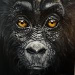 Olga QUESNEY-PRYYMAK 
Bébé chimpanzé 

Huile.

80 x 80 cm.