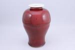 Chine XVIIIe-XIXe siècle. Vase sang-de-buf de forme Meipin. Haut. 34...