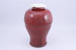 Chine XVIIIe-XIXe siècle. Vase sang-de-buf de forme Meipin. Haut. 34...