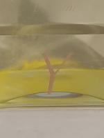 Yves Saint Laurent "Y", 1964Flacon publicitaire décoratif en verre incolore...