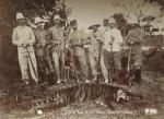 CHINETigre tué et types locaux, vers 18907 épreuves d'époque sur...