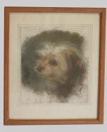 Euphémie MURATON (1840-1914).  Portrait de chien.Pastel, monogramé en bas...