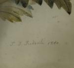 École FRANÇAISE du XIXème siècle.Bouquet d'asters.Signature apocryphe "P.J. Redouté 1840".36...