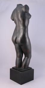 Alfred-Auguste JANNIOT (Paris, 1889 - Neuilly-sur-Seine, 1969)

Torse de Cécile.

Bronze patine...