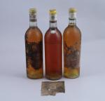 SAUTERNES. 3 bouteilles, vieux millésimes, l'une de 1962 (TLB, étiquettes...