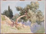 Ernest-Louis LESSIEUX (Rochefort-sur-Mer, 1874 - Paris 1938)"Etude d'arbre"Aquarelle sur papier...