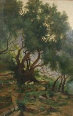 LOUIS ÉMILE DARDOIZE (1826-1901) Arbres nouésHuile sur toile signée en...