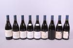 POMMARD, Grand Cru, Richebourg, A.-F. Gros, 1999, neuf bouteilles dont...