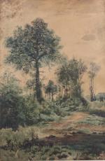 JEAN-JOSEPH BELLEL (1816-1898)
Sous-bois, 1861

Aquarelle.

Haut. 45, Larg. 63 cm.

JOINT : Sous-bois...