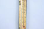 Toricelli Baromètre & Thermomètre sur paneau de bois laqué de...