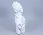 D'après Louis-Simon Boizot (1743-1809)
Marie-Antoinette drapée

Porcelaine à glaçure blanche sur un...