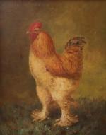 Marie Théophile Voitellier (act.1845-1859), Gallinacés, poule et coqPaire d'huiles sur...
