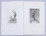 Félicien Rops (Belge, 1833-1898)
Les Diaboliques

20 illustrations pour les Diaboliques, de...