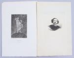 Félicien Rops (Belge, 1833-1898)
Les Diaboliques

20 illustrations pour les Diaboliques, de...
