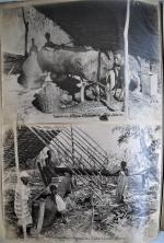 [Colonies françaises]									MADAGASCAR, SENEGAL, CONGO ET DIVERSAlbum-photos titré « Souvenirs de...