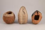 Trois noix de coco 

sculptées et polychromées, à décor anthropomorphique....