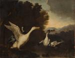 Ernst Van Dalen (Néerlandais, c. 1647-1709)Cane blanche, canards noir et...