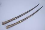 Deux longues cornes dantilope du Mali.Long. 85 cm et 86...
