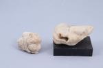 Probablement Smyrne ou ses environsDeux fragments de sculptures antiquesen marbre...