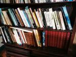 Fort lot de livres

dont : Pléiade, beaux livres, histoire, Arts,...