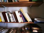 Fort lot de livres

dont : Pléiade, beaux livres, histoire, Arts,...