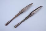 Tchad
Deux fers de lance de harpon.

Long. 33 cm.