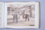 Japon - Epoque Meiji (1868-1912) 
Album de 50 photographies 

albuminées...