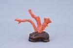 Chine - XXe siècle
Groupe 

en corail rouge sculpté de deux...