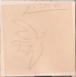 PICASSOColombeCrayon graphite sur papier, signé en haut  : "Picasso"13...