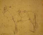 Aguste RAFFET (1804 - 1860)Le cheval de selle. Dessin à...