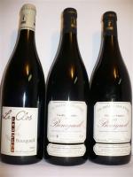 Domaine LES PINS-PITAULT LANDRY et FILS, Bourgueil, 3 bouteilles :...