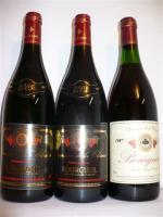 Domaine de la CLOSERIE, Bourgueil, 3 bouteilles : 2005, 2003,...