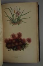 VERLOT. Les plantes alpines. Rothschild, 1873.Gr. in-8 1/2 mar. pet....