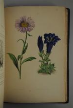 VERLOT. Les plantes alpines. Rothschild, 1873.Gr. in-8 1/2 mar. pet....