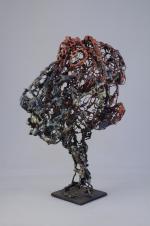 Roger CHOMEAUX, dit CHOMO (1907-1999)TêteSculpture en grillage, plastique fondu et...