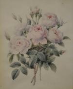 Pierre-Joseph REDOUTÉ (Saint-Hubert, 1759 - Paris, 1840)Bouquet de roses.Aquarelle, signée...