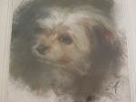 Euphémie MURATON (1840-1914)  Portrait de chien.Pastel monogramé en bas...