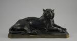 Blaise JULIEN (Paris 1872- ?), attribué àCouple de lions.Bronze à...
