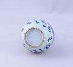 VIETNAM. VASE-BOUTEILLE piriforme en porcelaine blanche à décor bleu d'un...