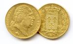 Lot de deux monnaies d'or Louis XVIII :20 Francs (tête...