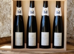CUVÉE SAINT MARTIN - 4 bouteilles.
Sanctus-Martinus-de-Bello :
n°903 : victoire des...