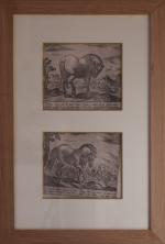 10 gravures de chevaux CHEVAUX, certaines monogrammées.