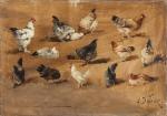 Alexandre DEFAUX (1826-1900)
Étude de poules sur fond bistre.
Toile signée en...