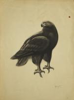 d'après, Georges Lucien GUYOT (1885-1973)
Aigle
Procédé. 
32 x 24 cm. (papier...
