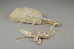 ÉVENTAIL en plumes d'autruche et monture en nacre, vers 1900
Haut....