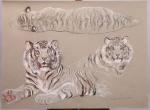 Violette KISLING-PELATI (1918-2012)Tigre blanc, étude.Pastel signé en bas à droite.49...