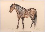 Violette KISLING-PELATI (1918-2012)"Tapioca", cheval.Pastel signé et daté 1961 en bas...